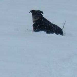 Meet your Posher, Sean